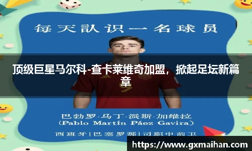 顶级巨星马尔科-查卡莱维奇加盟，掀起足坛新篇章
