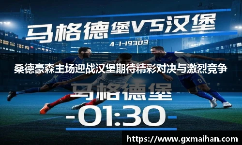 桑德豪森主场迎战汉堡期待精彩对决与激烈竞争